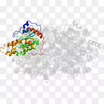 ���߼�����-��-������