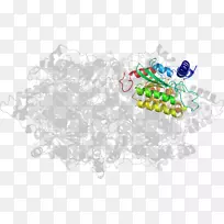 树-树-空若网 树-树-空若网