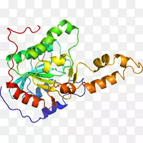 无脊椎动物食物线剪贴画线-空若网 无脊椎动物食物线剪贴画线-空若网
