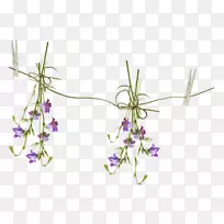 õ���л�-������