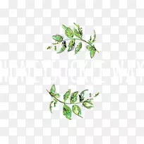 ������������ƻ���-������