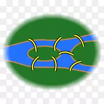 k nigsberg Kaliningradŷ��·������������ѧ����-��ѧ-������