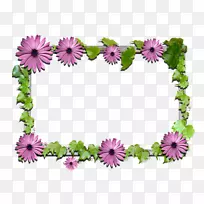 花卉设计画框-空若网 花卉设计画框-空若网