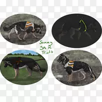 昆虫-空若网 昆虫-空若网