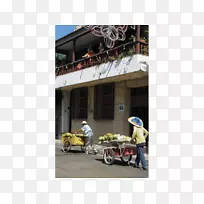 ����Ʋ�����-������˹-������