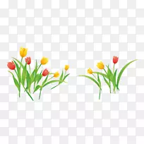 郁金香插花艺术-郁金香-空若网 郁金香插花艺术-郁金香-空若网