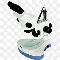 ʵ���Ҳ�������������΢����ѧ��΢��-������