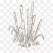 Ê÷ͼÏÂÔØ-ÊÖ»æÊ÷£¬Ê÷-¿ÕÈôÍø Ê÷ͼÏÂÔØ-ÊÖ»æÊ÷£¬Ê÷-¿ÕÈôÍø