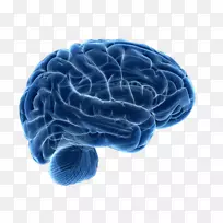 ������Ӱ��ѧ�񾭿�ѧ����-��-������