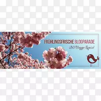 博客时尚博客google三月春分-你好春天-空若网 博客时尚博客google三月春分-你好春天-空若网