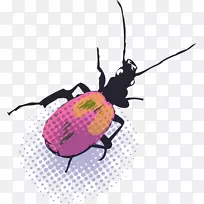 ����Ӱ��ͼ.�ֻ�ˮ������-������