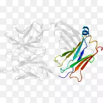 ƽ��������������������-������