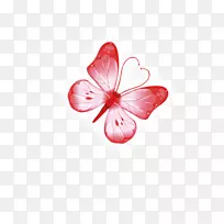 蝴蝶昆虫蝶蛾昆虫-空若网 蝴蝶昆虫蝶蛾昆虫-空若网