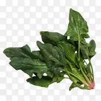 菠菜沙拉蔬菜园-空若网 菠菜沙拉蔬菜园-空若网