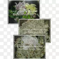 �������-������