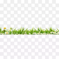 草草-空若网 草草-空若网