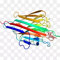 �ߵ������-��-������