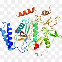 �ߵ������������-������