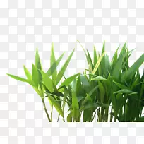 Ãâ·Ñŷʽ²Ý-¿ÕÈôÍø Ãâ·Ñŷʽ²Ý-¿ÕÈôÍø