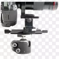 照相机镜头宏摄影佳能mp-e 65 mm f/2.8 1-5x-空若网 照相机镜头宏摄影佳能mp-e 65 mm f/2.8 1-5x-空若网