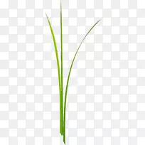 Ҷ���̾���-������