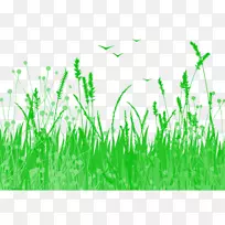 ˮ�ʻ���ͼ.��-������