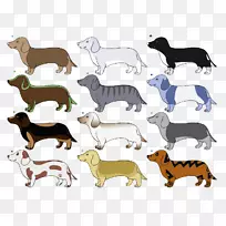 犬种达克斯犬线画-空若网 犬种达克斯犬线画-空若网