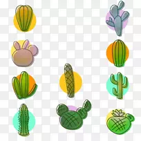 仙人掌科植物-绿色仙人掌盆栽-空若网 仙人掌科植物-绿色仙人掌盆栽-空若网