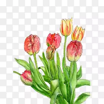 郁金香黄花-黄郁金香-空若网 郁金香黄花-黄郁金香-空若网