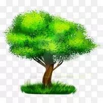 ��-��-������