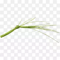 �ǽ��-������