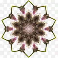 计算机图标万花筒剪贴画.野花标题框-空若网 计算机图标万花筒剪贴画.野花标题框-空若网