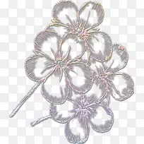 花瓣切花剪贴画-空若网 花瓣切花剪贴画-空若网