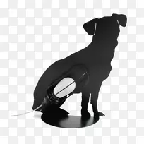 狗带鼻-狗-空若网 狗带鼻-狗-空若网