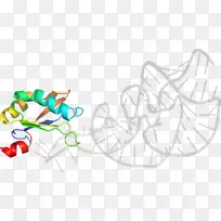 平面设计线艺术剪贴画设计-空若网 平面设计线艺术剪贴画设计-空若网