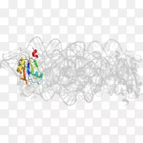 设计-空若网 设计-空若网