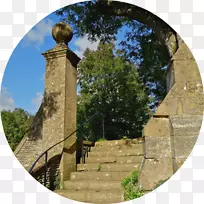 历史遗迹树-空若网 历史遗迹树-空若网