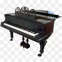 ���ָ��ٵ綯���������߸���-������