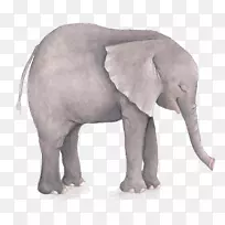 ˮ�ʻ��廭-����-������