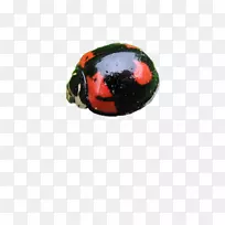 �����-������