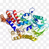艺术身体珠宝有机体剪贴艺术珠宝首饰-空若网 艺术身体珠宝有机体剪贴艺术珠宝首饰-空若网