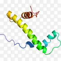 线点剪贴画-线-空若网 线点剪贴画-线-空若网