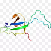 �����߼�������-������