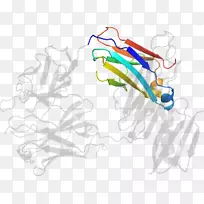 平面设计剪贴画.设计-空若网 平面设计剪贴画.设计-空若网