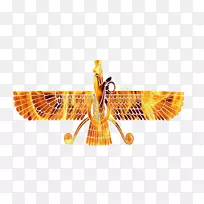 蝴蝶昆虫线2M翼蝶-空若网 蝴蝶昆虫线2M翼蝶-空若网