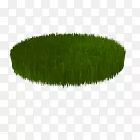 �̱���-������