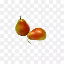 ¹ûÖÀæ¹ûÊßÀæ-¿ÕÈôÍø ¹ûÖÀæ¹ûÊßÀæ-¿ÕÈôÍø