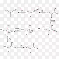 Strecker������ϳ���ˮ��Ӧ��ѧ�ϳ�ˮ��-������