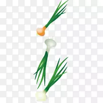 �߲˲�ͼ.�������߲˵�ͼ-������