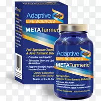 Ӫ����ʳ�������ѧ����֬�����л��ѧ-������